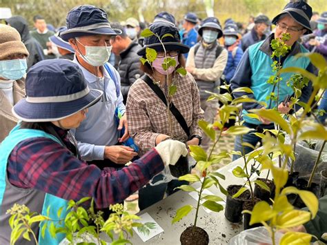 百日青樹|臺灣原生樹木推廣及媒合平臺